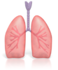 lungs_pc_400_wht.png