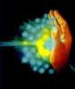 hand_projecting_prana_energy_pranic_healing_chakra_therapy.jpg