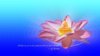 buddha_on_lotus_by_hanciong-d3cc8bb.jpg