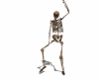 A3873932-2.gif