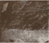 scan0325.jpg