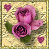 flicken00278.gif