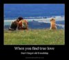 when-you-find-true-love.jpg