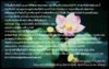 beautiful-pink-lotus-wallpapers_34367_1920x1200.jpg
