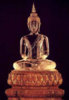 buddha14.jpg