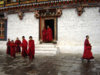 DSC00181.jpg