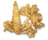 Curcuma1.jpg