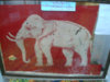 DSC03166.jpg