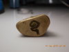 DSCN1006.jpg