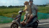 Dog-riding-scooter.jpg