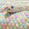 colorful-pastel-pastel-pink-snake-Favim_com-513780.jpg