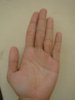 DSC00778.JPG