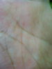 06-06-13-133710.jpg