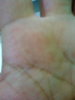 06-06-13-133731.jpg