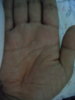 CIMG0126.jpg