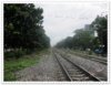 ทอดเห็ดIMG_2959.JPG