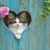 cute kitty cat.jpg