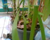 ภาพ021.jpg