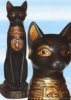 แมวอียิปต์โบราณ๗.jpg