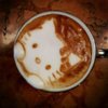 แมว+กาแฟคิตตื้.jpg