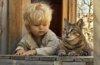 แมว+เด็กชาย.jpg
