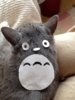 totoro cat.jpg