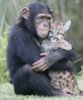 animal love-4.jpg