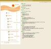 แผนผังการปฏิบัติวิปัสนากรรมฐาน.JPG