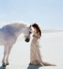 whitehorse01.jpg