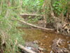 DSC01065-resize.jpg