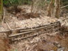 DSC01062-resize.jpg