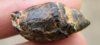 DSCF2573.JPG