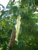 1206796232_63831206796232_6383[1].jpg