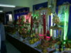 S4022698.JPG