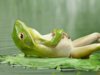 Relax-frog.jpg