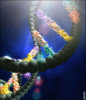 DNA double helix.jpg