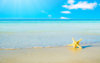 dancing-starfish-sand-sea-750979-2560x1600.jpg