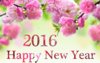 Happy-New-Year-3d-Hd-Wallpaper-Photos-2016-2.jpg