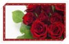 valentines-day-roses-1.jpg