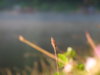 DSCF4398.JPG