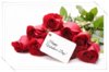happy-valentines-day-red-roses-001.jpg
