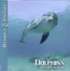 music-dolphins.jpg