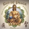 Tao of Peace.jpg