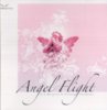 Christoph Hausmann & Erik Berglund - Angel Flight (1).JPG