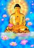 Namo Amitabha Buddha.jpg