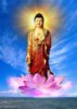 Namo Amitabha Buddha4.jpg