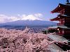 fuji-japan-cherry-blossoms-and-mount.jpg
