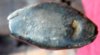 DSCF3632.JPG