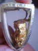 DSCN8742.JPG