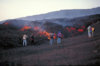 etna_8360.jpg